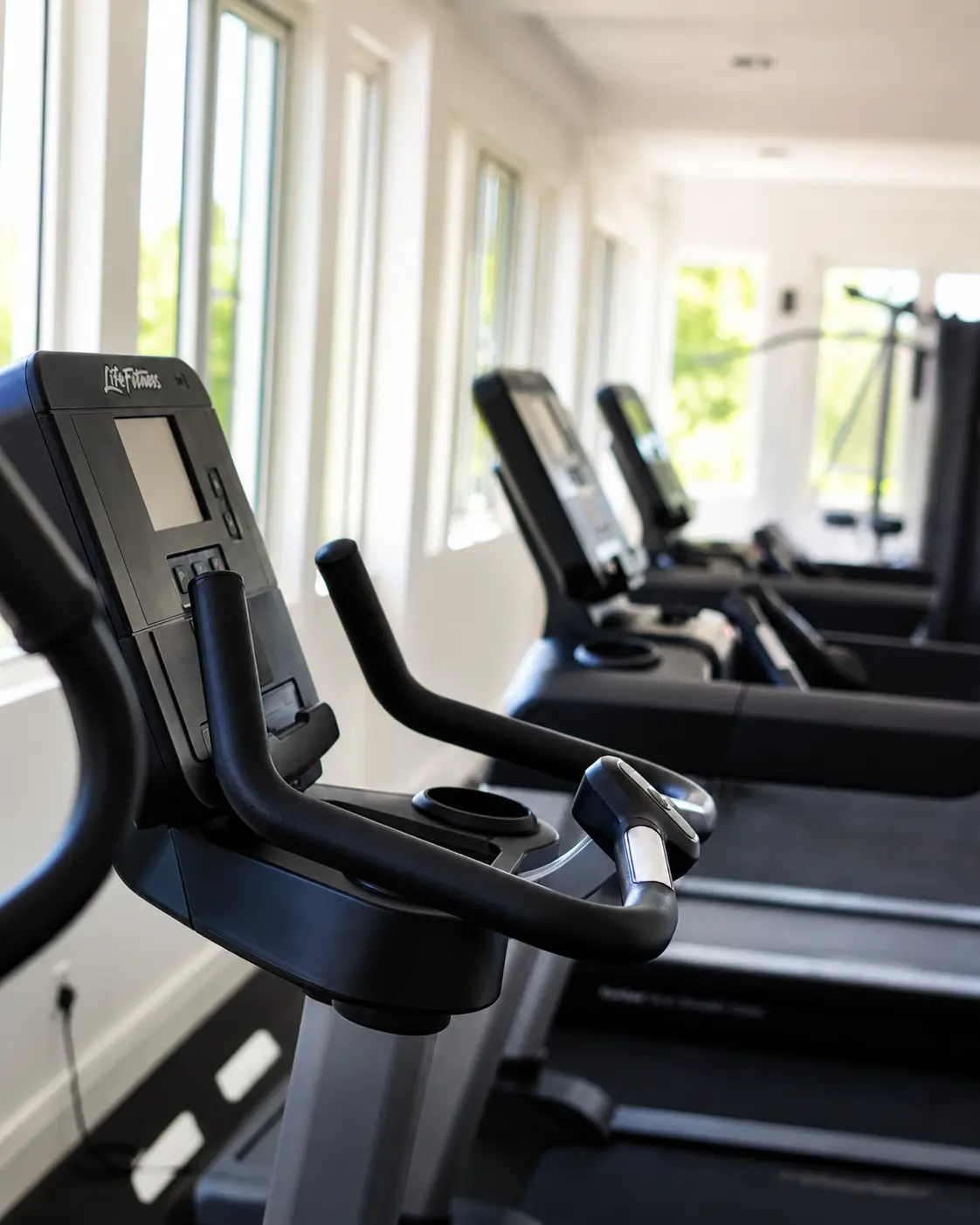 Cardio machines overlooking the gardens at the Pedro Barn Hotel fitness center
