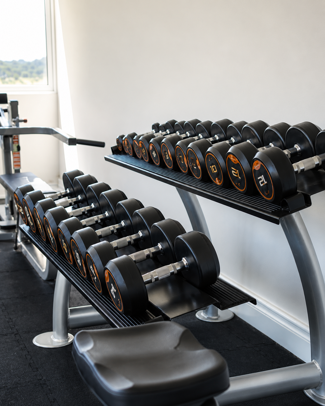 Tiered dumbbell racks at the Pedro Barn Hotel fitness center