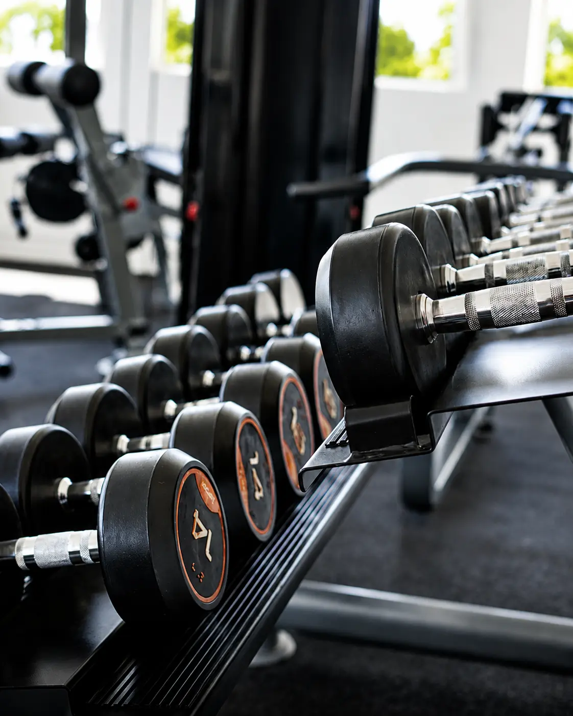 Free weights and dumbbell rack at the Pedro Barn Hotel fitness center